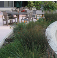 Sustainable Landscape Case Study 