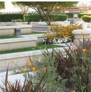 Sustainable Landscape Case Study - Restoring Native Habitats